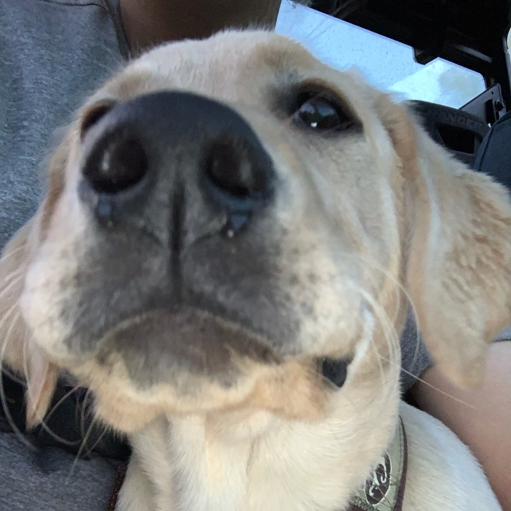 Meet your Posher, Ryan